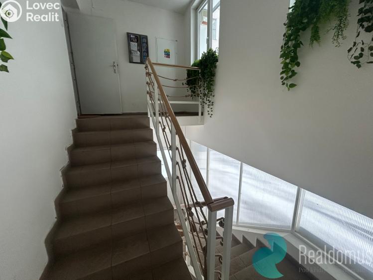 Аренда коммерческой недвижимости České Budějovice, Husova tř. 1858/43 č. 19