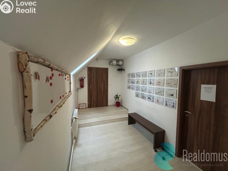 Оренда комерційної нерухомості České Budějovice, Husova tř. 1858/43 č. 10