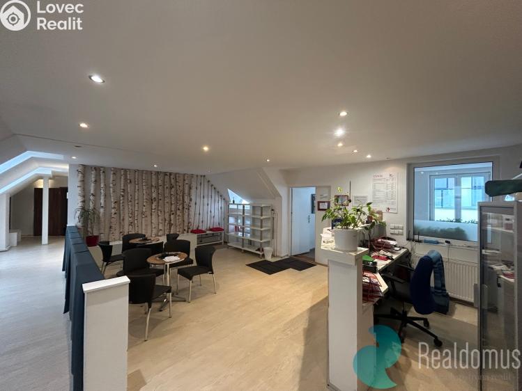 Оренда комерційної нерухомості České Budějovice, Husova tř. 1858/43 č. 4