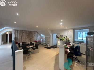 Аренда коммерческой недвижимости České Budějovice, Husova tř. č. 4