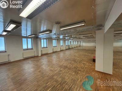 Rent commercial properties České Budějovice, Husova tř. č. 3