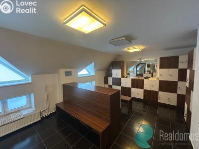 Rent commercial properties České Budějovice, Husova tř. č. 5