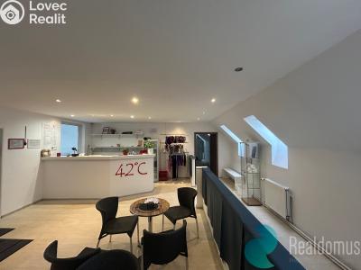 Оренда комерційної нерухомості České Budějovice, Husova tř. č. 1