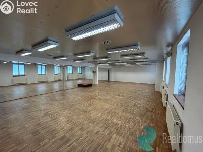 Оренда комерційної нерухомості České Budějovice, Husova tř. č. 1