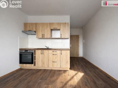 Pronájem bytu 1+1 Ústí nad Labem, Pincova č. 1