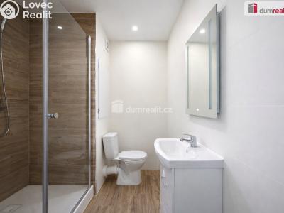 Pronájem bytu 1+1 Ústí nad Labem, Pincova č. 4