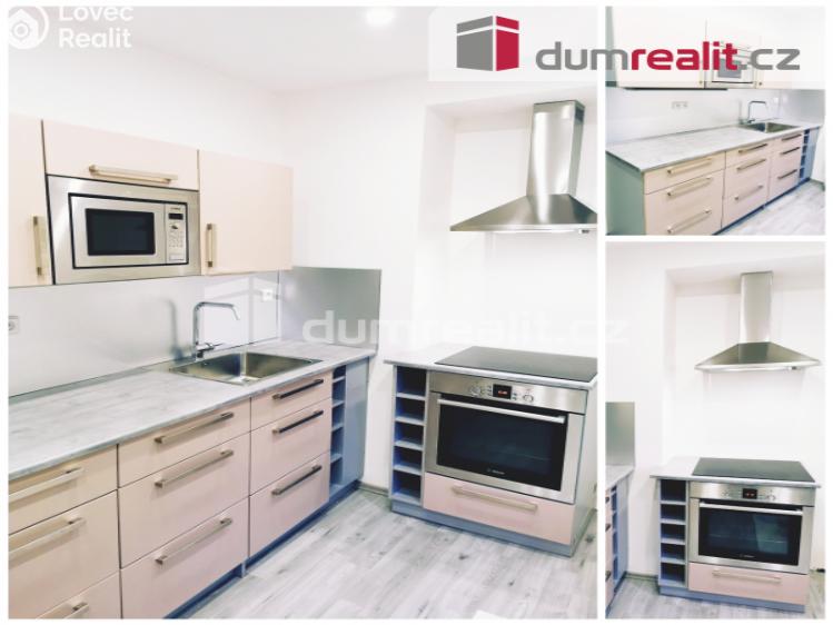 Pronájem bytu 2+1 Litoměřice, Dobrovského č. 1