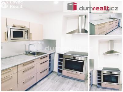 Pronájem bytu 2+1 Litoměřice, Dobrovského č. 1