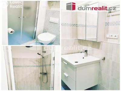 Pronájem bytu 2+1 Litoměřice, Dobrovského č. 2