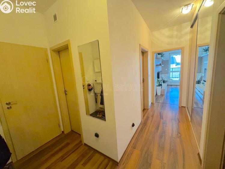 Pronájem bytu 3+1 Olomouc, Na Tabulovém vrchu č. 13