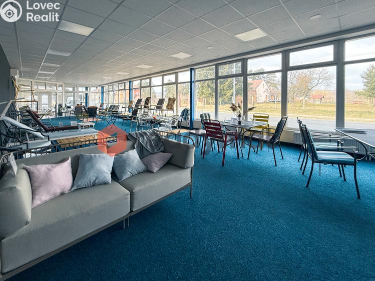 Pronájem obchodního prostoru Bzenec, Průmyslová č. 1