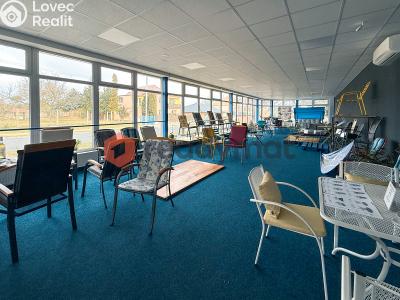 Pronájem obchodního prostoru Bzenec, Průmyslová č. 2