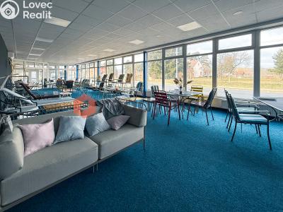 Pronájem obchodního prostoru Bzenec, Průmyslová č. 1