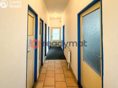 Rent commercial space Bzenec, Průmyslová č. 4