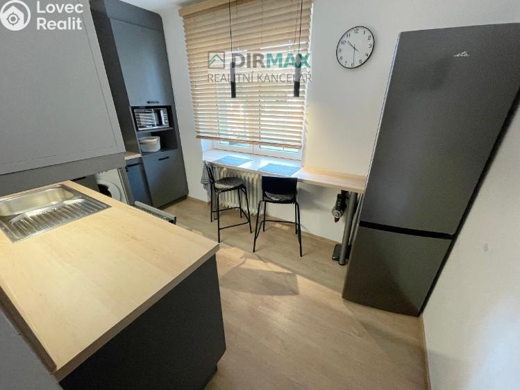 Pronájem bytu 1+1 Plzeň, Barákova 554/65 č. 5