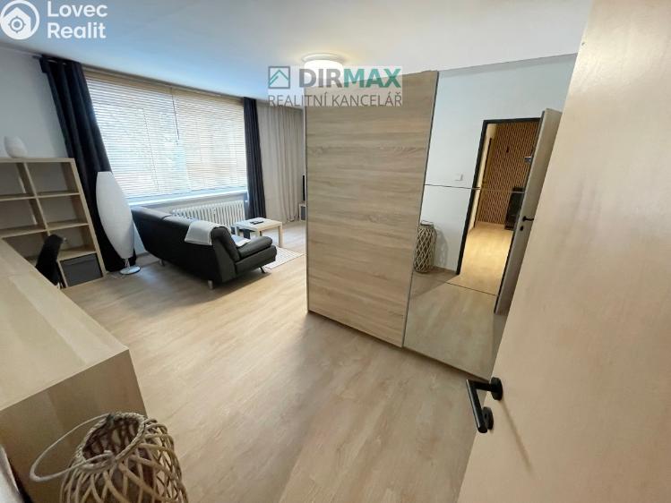 Pronájem bytu 1+1 Plzeň, Barákova 554/65 č. 10