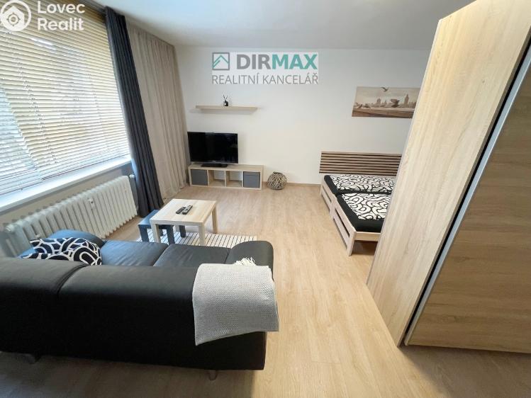 Pronájem bytu 1+1 Plzeň, Barákova 554/65 č. 11