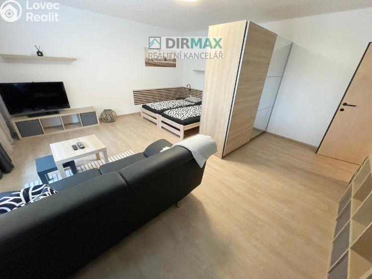 Pronájem bytu 1+1 Plzeň, Barákova 554/65 č. 12