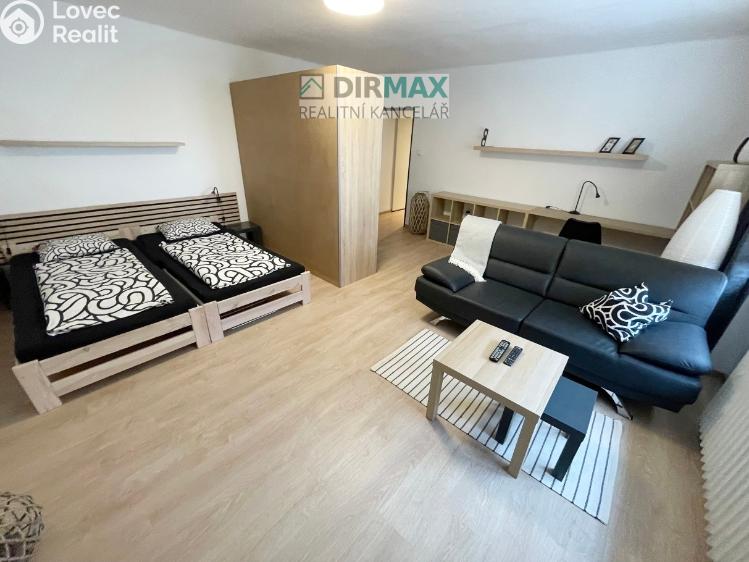 Pronájem bytu 1+1 Plzeň, Barákova 554/65 č. 14