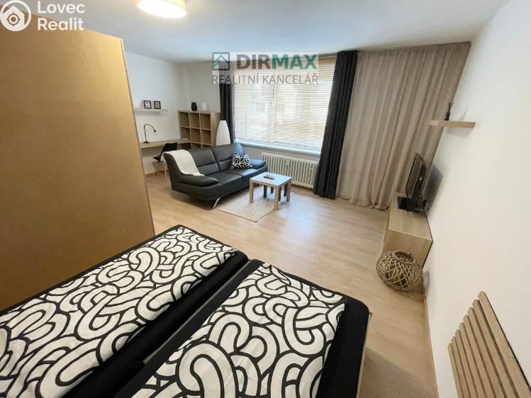 Pronájem bytu 1+1 Plzeň, Barákova 554/65 č. 15