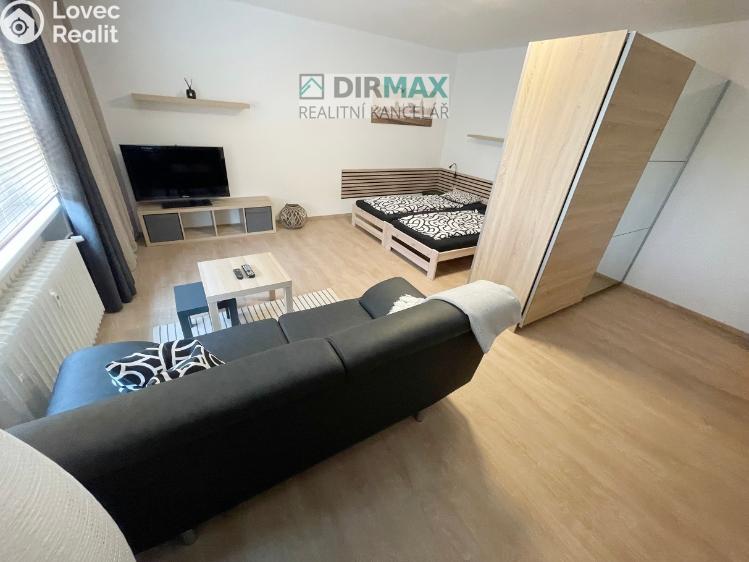 Pronájem bytu 1+1 Plzeň, Barákova 554/65 č. 16