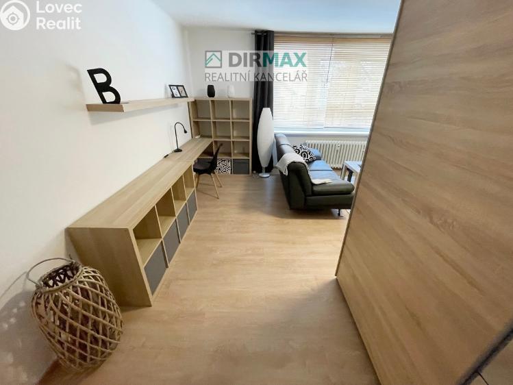 Pronájem bytu 1+1 Plzeň, Barákova 554/65 č. 17