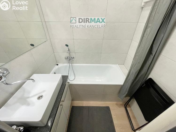 Pronájem bytu 1+1 Plzeň, Barákova 554/65 č. 19