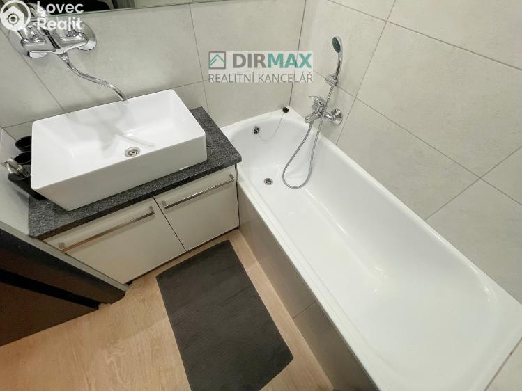 Pronájem bytu 1+1 Plzeň, Barákova 554/65 č. 20