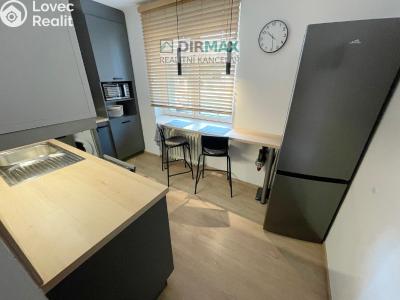 Pronájem bytu 1+1 Plzeň, Barákova č. 5