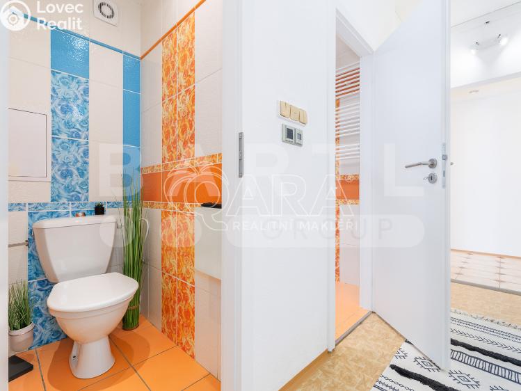 Prodej bytu 3+1 České Budějovice, K. Chocholy 1259/10 č. 9