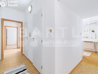 Prodej bytu 3+1 České Budějovice, K. Chocholy č. 3