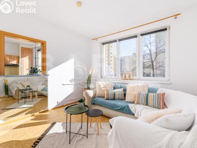 Prodej bytu 3+1 České Budějovice, K. Chocholy č. 1