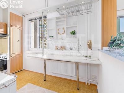 Prodej bytu 3+1 České Budějovice, K. Chocholy č. 5