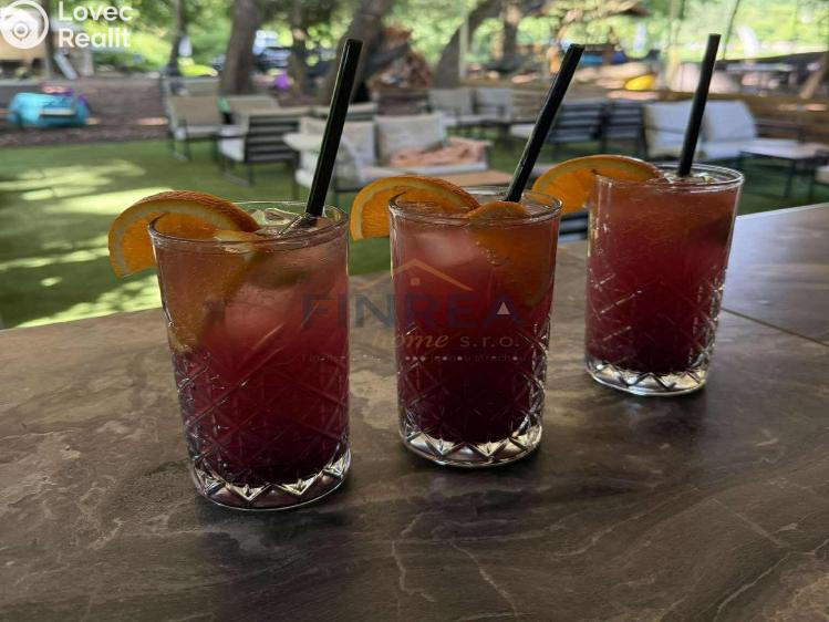 Оренда комерційної нерухомості Roztoky, Třešňovka č. 11