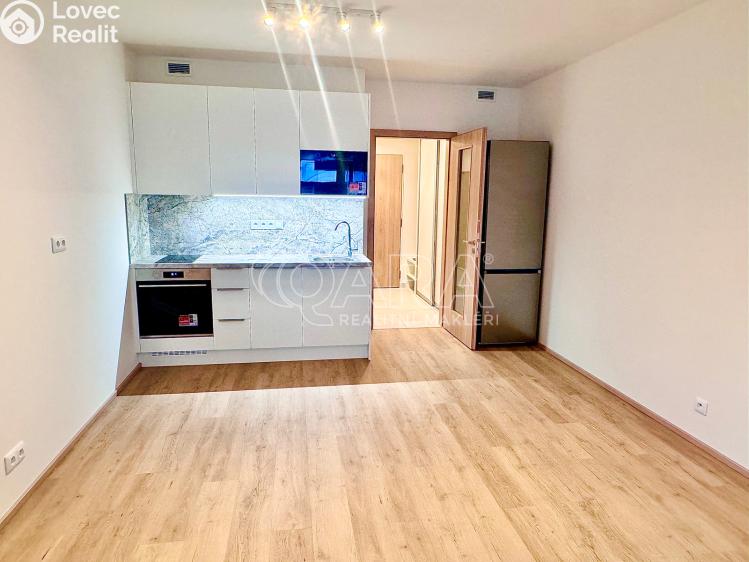 Pronájem bytu 1+KK Praha, Poděbradská 260/59 č. 1