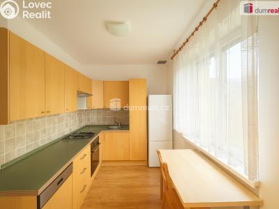 Pronájem bytu 2+1 Ústí nad Labem, Střekovské nábřeží č. 1