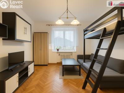 Pronájem bytu 2+1 Ústí nad Labem, Střekovské nábřeží č. 2