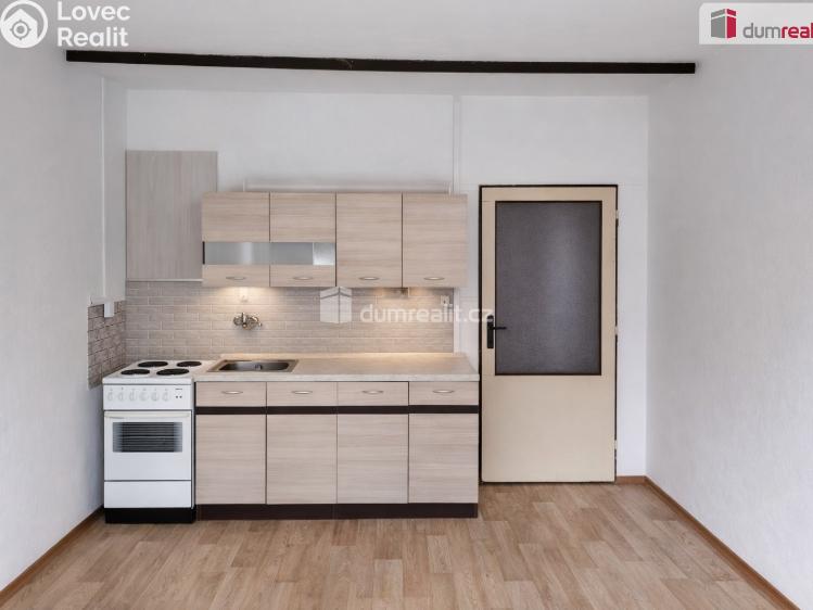 Pronájem bytu 1+KK Děčín, Želenická č. 4