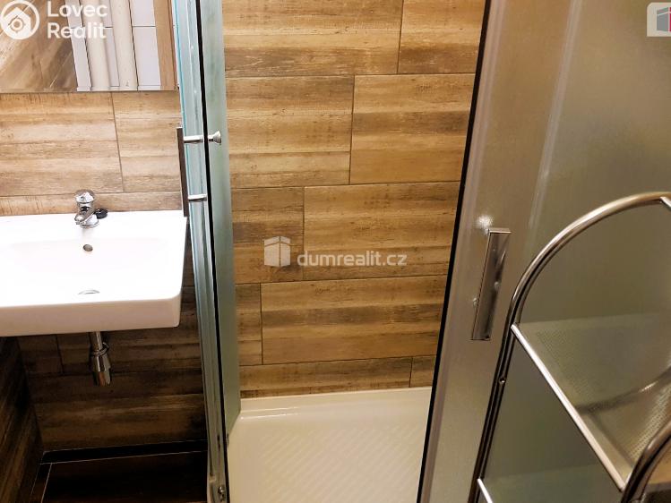 Pronájem bytu 1+1 Brno, Vídeňská č. 15