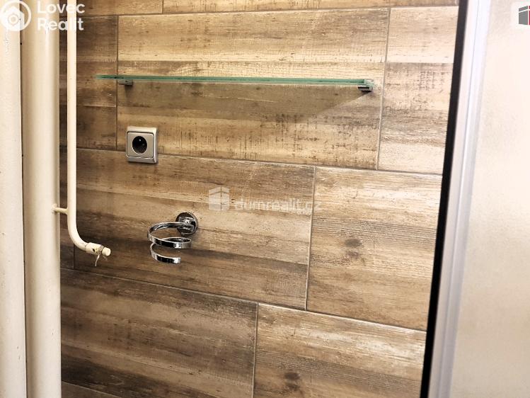 Pronájem bytu 1+1 Brno, Vídeňská č. 16