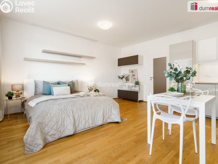 Pronájem bytu 1+KK Praha 5, Pod stolovou horou č. 1