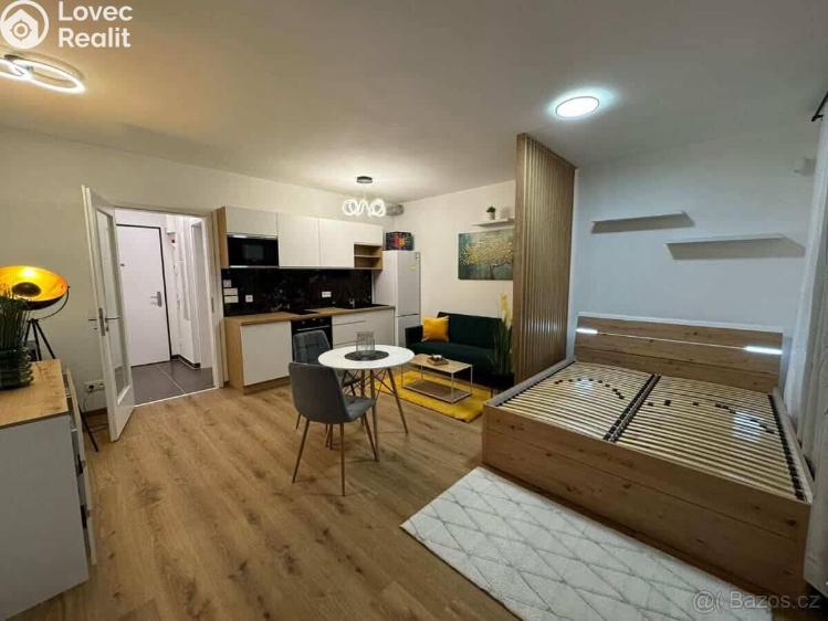 Pronájem bytu 1+KK Praha, Olgy Havlové č. 1
