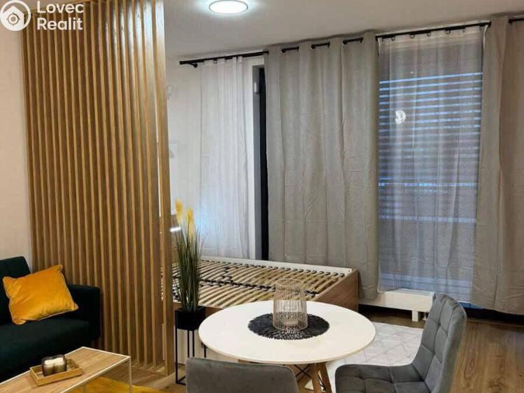 Pronájem bytu 1+KK Praha, Olgy Havlové č. 4