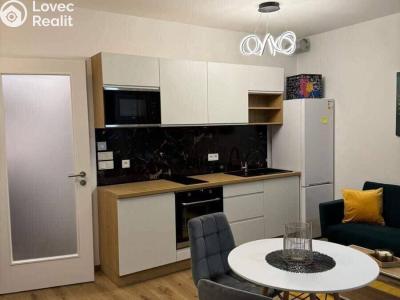 Pronájem bytu 1+KK Praha, Olgy Havlové č. 2