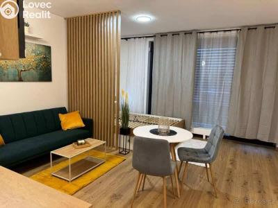 Pronájem bytu 1+KK Praha, Olgy Havlové č. 3