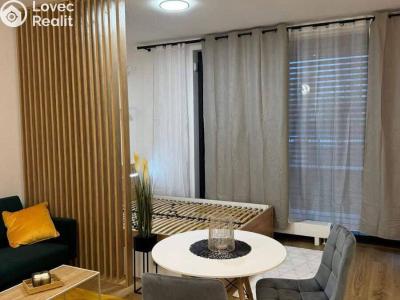 Pronájem bytu 1+KK Praha, Olgy Havlové č. 4