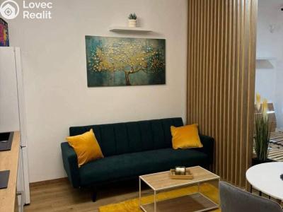 Pronájem bytu 1+KK Praha, Olgy Havlové č. 5