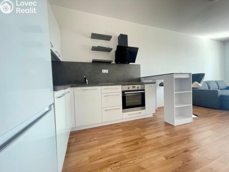 Pronájem bytu 1+KK Pardubice, Pod Vinicí 2848 č. 2