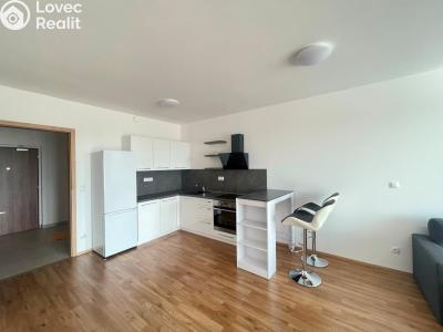 Pronájem bytu 1+KK Pardubice, Pod Vinicí 2848 č. 3