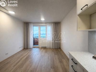 Pronájem bytu 2+KK Praha, Werichova č. 2